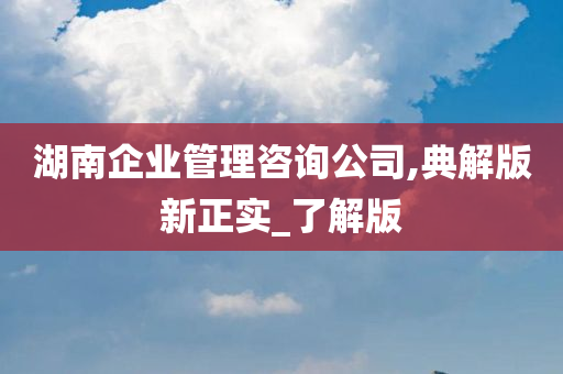 湖南企业管理咨询公司,典解版新正实_了解版