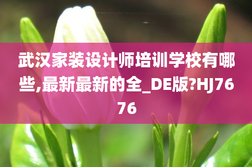 武汉家装设计师培训学校有哪些,最新最新的全_DE版?HJ7676