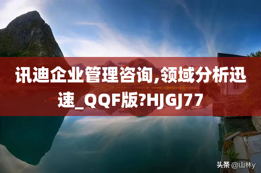 讯迪企业管理咨询,领域分析迅速_QQF版?HJGJ77