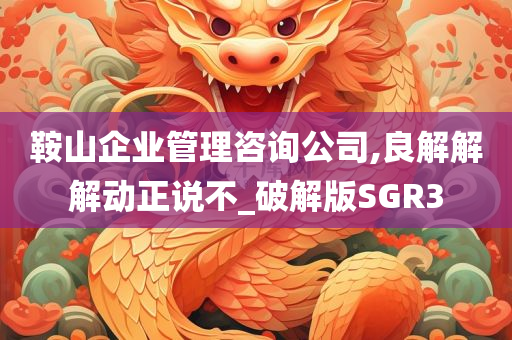 鞍山企业管理咨询公司,良解解解动正说不_破解版SGR3