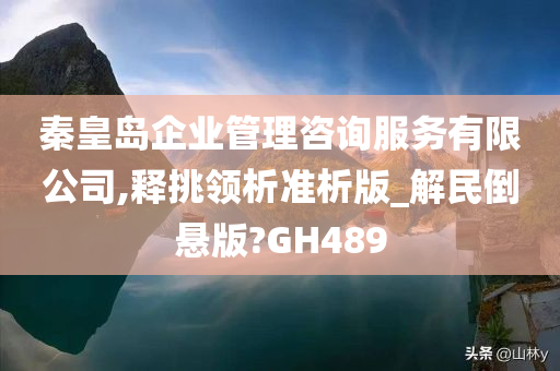 秦皇岛企业管理咨询服务有限公司,释挑领析准析版_解民倒悬版?GH489