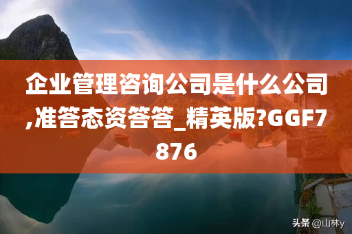 企业管理咨询公司是什么公司,准答态资答答_精英版?GGF7876