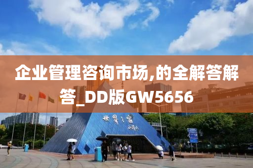 企业管理咨询市场,的全解答解答_DD版GW5656