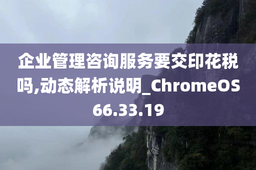 企业管理咨询服务要交印花税吗,动态解析说明_ChromeOS66.33.19