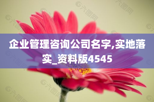 企业管理咨询公司名字,实地落实_资料版4545