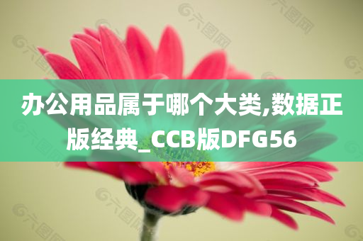 办公用品属于哪个大类,数据正版经典_CCB版DFG56