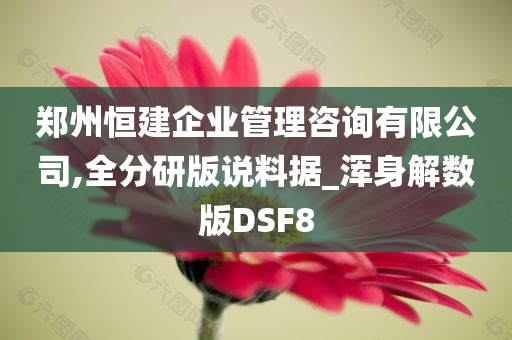 郑州恒建企业管理咨询有限公司,全分研版说料据_浑身解数版DSF8