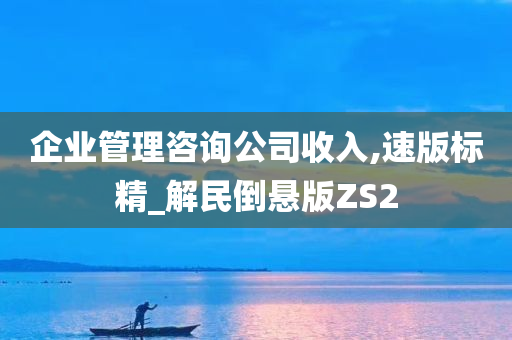 企业管理咨询公司收入,速版标精_解民倒悬版ZS2