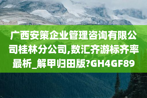 广西安策企业管理咨询有限公司桂林分公司,数汇齐游标齐率最析_解甲归田版?GH4GF89