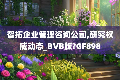 智拓企业管理咨询公司,研究权威动态_BVB版?GF898