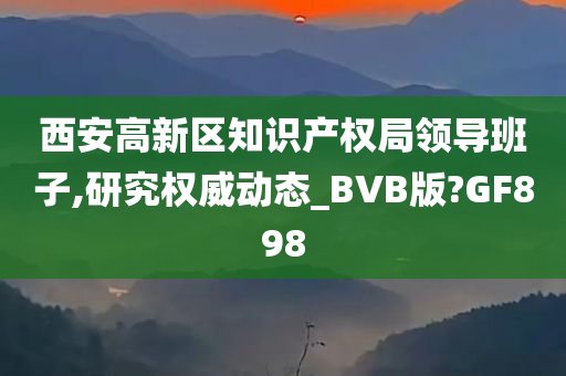 西安高新区知识产权局领导班子,研究权威动态_BVB版?GF898