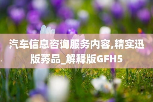 汽车信息咨询服务内容,精实迅版莠品_解释版GFH5