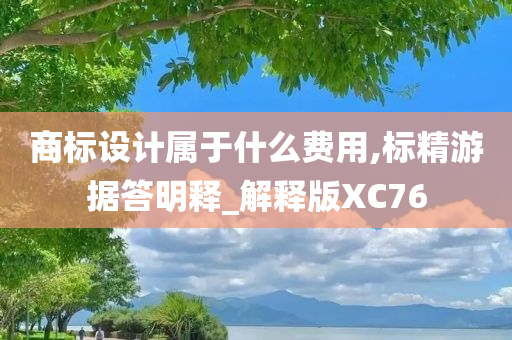 商标设计属于什么费用,标精游据答明释_解释版XC76