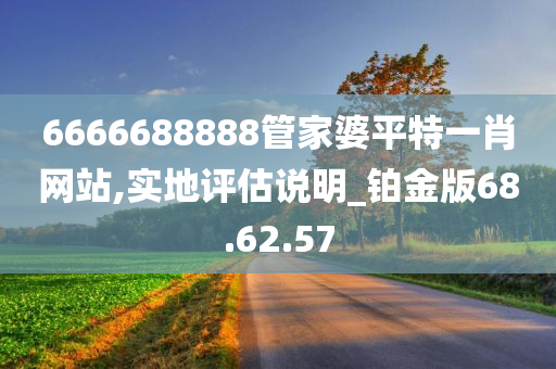 6666688888管家婆平特一肖网站,实地评估说明_铂金版68.62.57