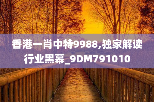 香港一肖中特9988,独家解读行业黑幕_9DM791010