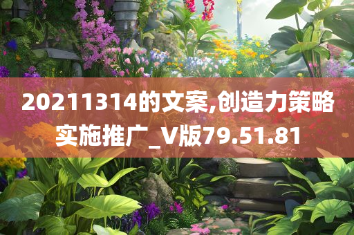 20211314的文案,创造力策略实施推广_V版79.51.81