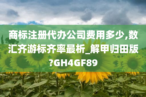 商标注册代办公司费用多少,数汇齐游标齐率最析_解甲归田版?GH4GF89