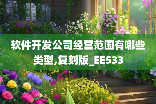 软件开发公司经营范围有哪些类型,复刻版_EE533