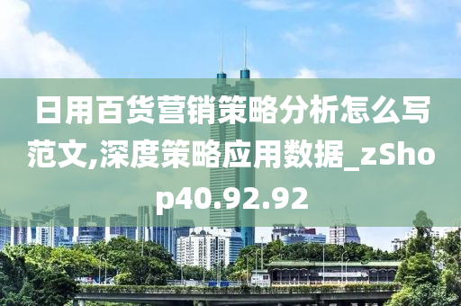 日用百货营销策略分析怎么写范文,深度策略应用数据_zShop40.92.92