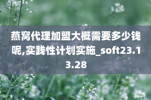 燕窝代理加盟大概需要多少钱呢,实践性计划实施_soft23.13.28