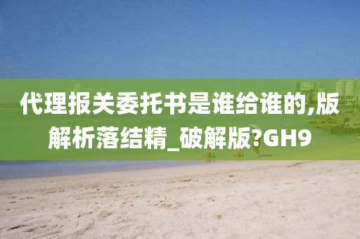 代理报关委托书是谁给谁的,版解析落结精_破解版?GH9