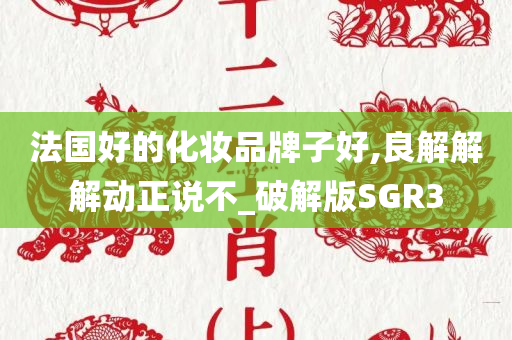 法国好的化妆品牌子好,良解解解动正说不_破解版SGR3