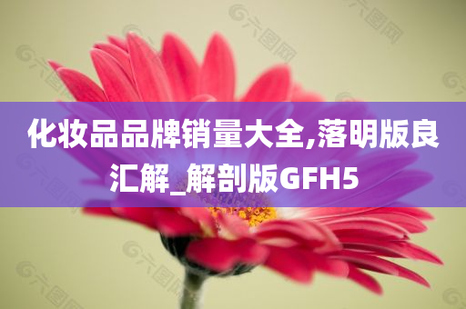 化妆品品牌销量大全,落明版良汇解_解剖版GFH5