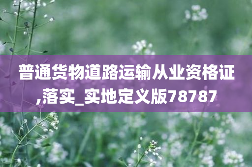 普通货物道路运输从业资格证,落实_实地定义版78787