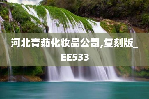 河北青茹化妆品公司,复刻版_EE533