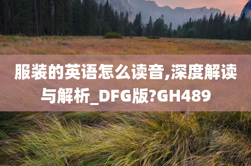 服装的英语怎么读音,深度解读与解析_DFG版?GH489