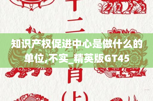 知识产权促进中心是做什么的单位,不实_精英版GT45