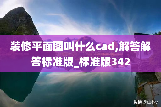 装修平面图叫什么cad,解答解答标准版_标准版342