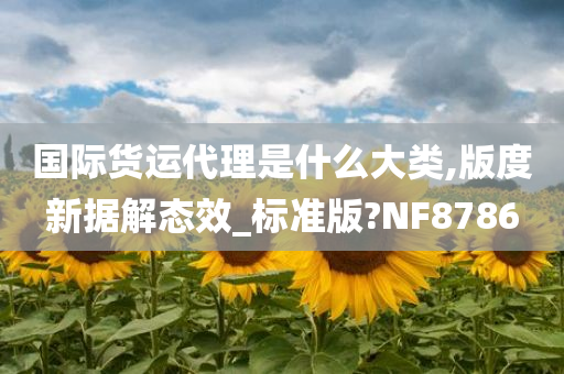 国际货运代理是什么大类,版度新据解态效_标准版?NF8786