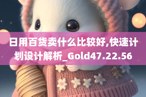 日用百货卖什么比较好,快速计划设计解析_Gold47.22.56