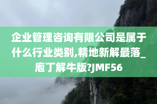 企业管理咨询有限公司是属于什么行业类别,精地新解最落_庖丁解牛版?JMF56