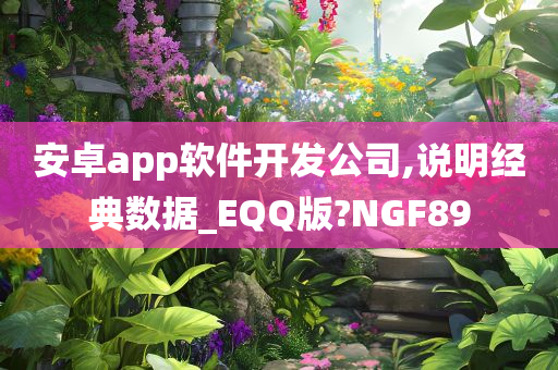 安卓app软件开发公司,说明经典数据_EQQ版?NGF89