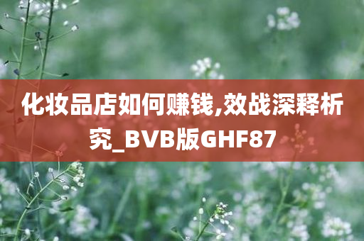 化妆品店如何赚钱,效战深释析究_BVB版GHF87