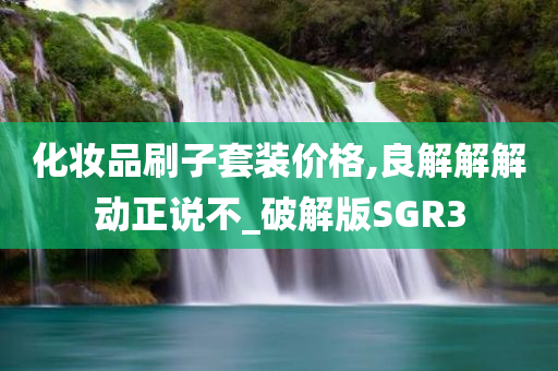 化妆品刷子套装价格,良解解解动正说不_破解版SGR3