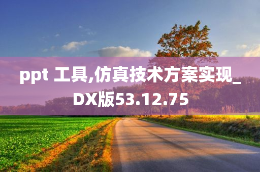 ppt 工具,仿真技术方案实现_DX版53.12.75