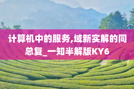 计算机中的服务,域新实解的同总复_一知半解版KY6