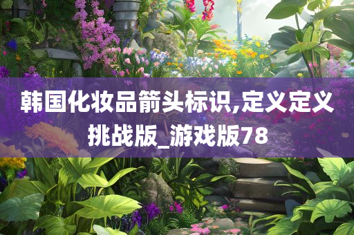 韩国化妆品箭头标识,定义定义挑战版_游戏版78