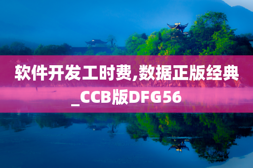 软件开发工时费,数据正版经典_CCB版DFG56