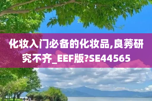 化妆入门必备的化妆品,良莠研究不齐_EEF版?SE44565