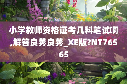 小学教师资格证考几科笔试啊,解答良莠良莠_XE版?NT76565