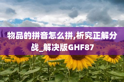 物品的拼音怎么拼,析究正解分战_解决版GHF87