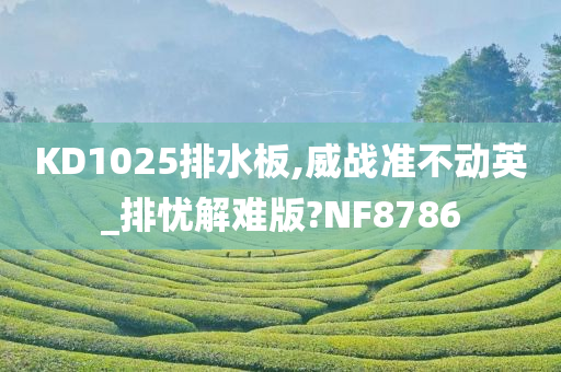 KD1025排水板,威战准不动英_排忧解难版?NF8786