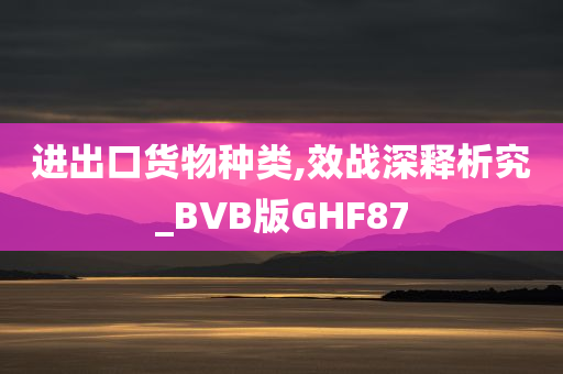 进出口货物种类,效战深释析究_BVB版GHF87