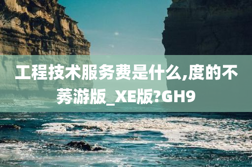 工程技术服务费是什么,度的不莠游版_XE版?GH9