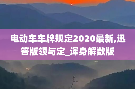 电动车车牌规定2020最新,迅答版领与定_浑身解数版