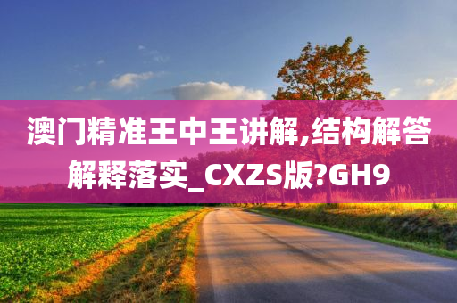 澳门精准王中王讲解,结构解答解释落实_CXZS版?GH9